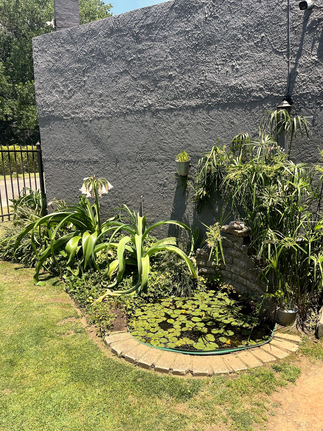 Die tuin